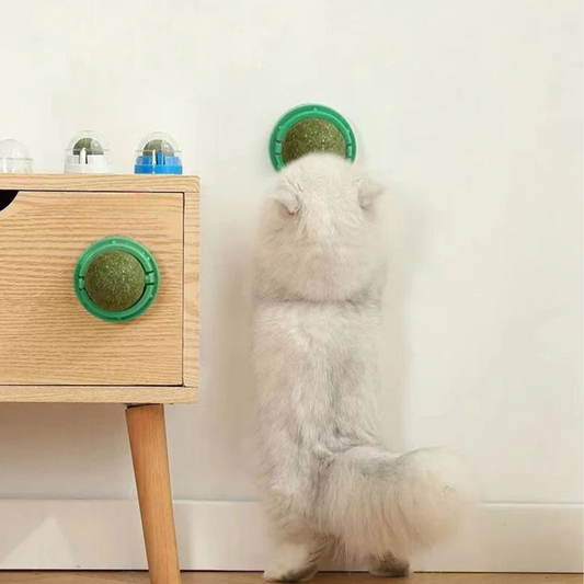 Catnip Wall Ball