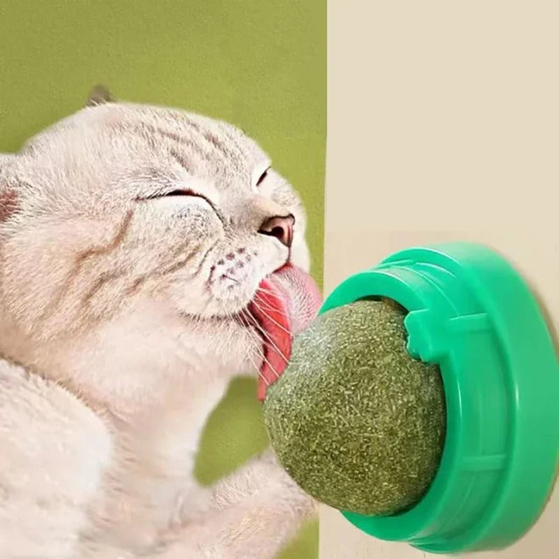 Catnip Wall Ball